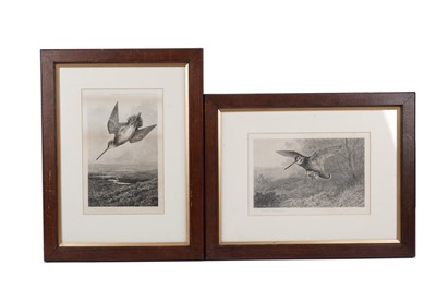 Lot 226 - Archibald Thorburn - Ascent and Descent | photogratures