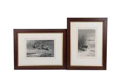 Lot 227 - Archibald Thorburn - Birds by the pond | photogratures