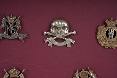 Lot 4 - A display of British Regimental cap badges
