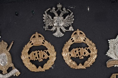 Lot 8 - A display of cap badges, titles and buttons for Dragoon Guard, Lancer and Hussar Regiments
