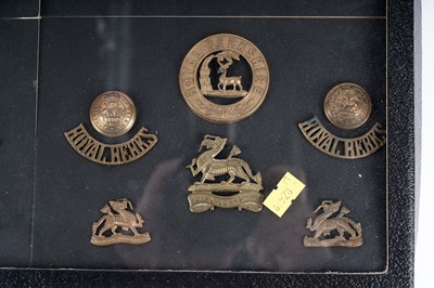 Lot 14 - A display of badges, buttons and titles