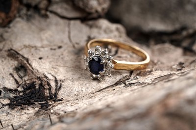 Lot 602 - A sapphire and diamond cluster ring