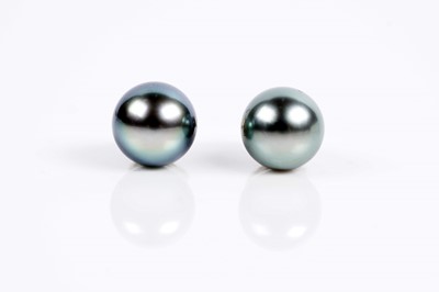 Lot 615 - A pair of cultured black pearl earrings