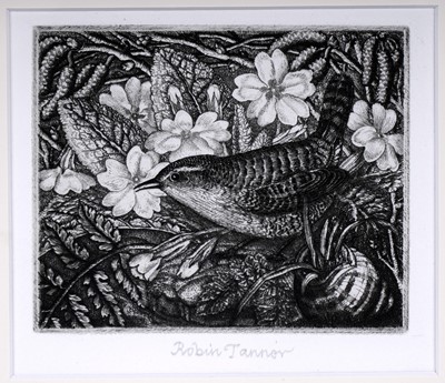 Lot 318 - Robin Tanner - Wren & Primroses | etching