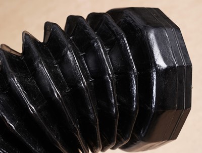 Lot 15 - A Lachenal 'Edeophone' concertina