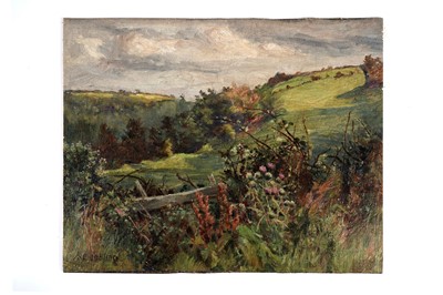 Lot 762 - Isa Jobling - Yorkshire Landscape with Wild Hawthorn and Bracken Hedge | oil