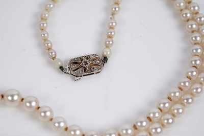 Lot 559 - Pearl necklaces; and a synthetic sapphire floral spray brooch