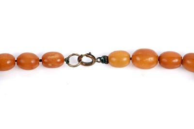 Lot 522 - A butterscotch amber bead necklace