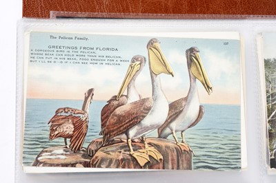 Lot 100 - Two albums of postcards; and three photograph albums