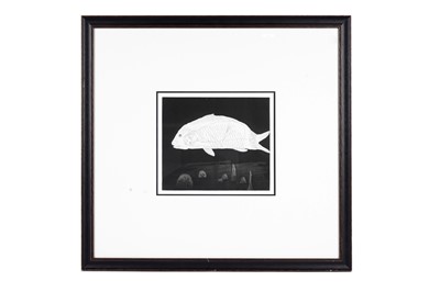 Lot 812 - David Hockney – Boy Hidden in a Fish | etching and aquatint