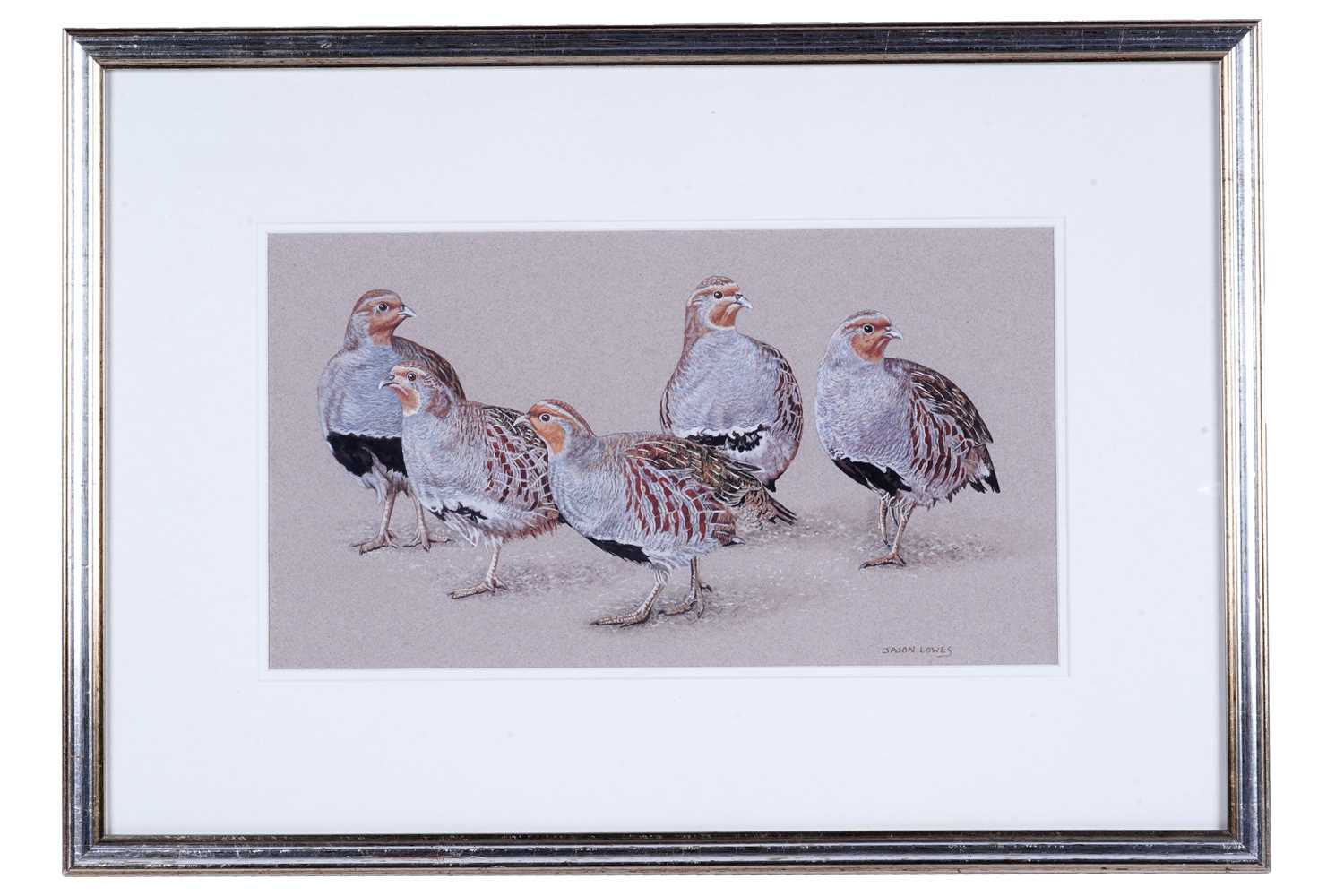 Lot 590 - Jason Lowes - Grey Partridge | watercolour