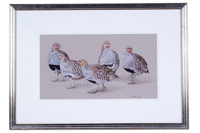 Lot 590 - Jason Lowes - Grey Partridge | watercolour