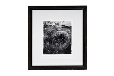 Lot 88 - George William Tute - Dandelion Field | wood engraving