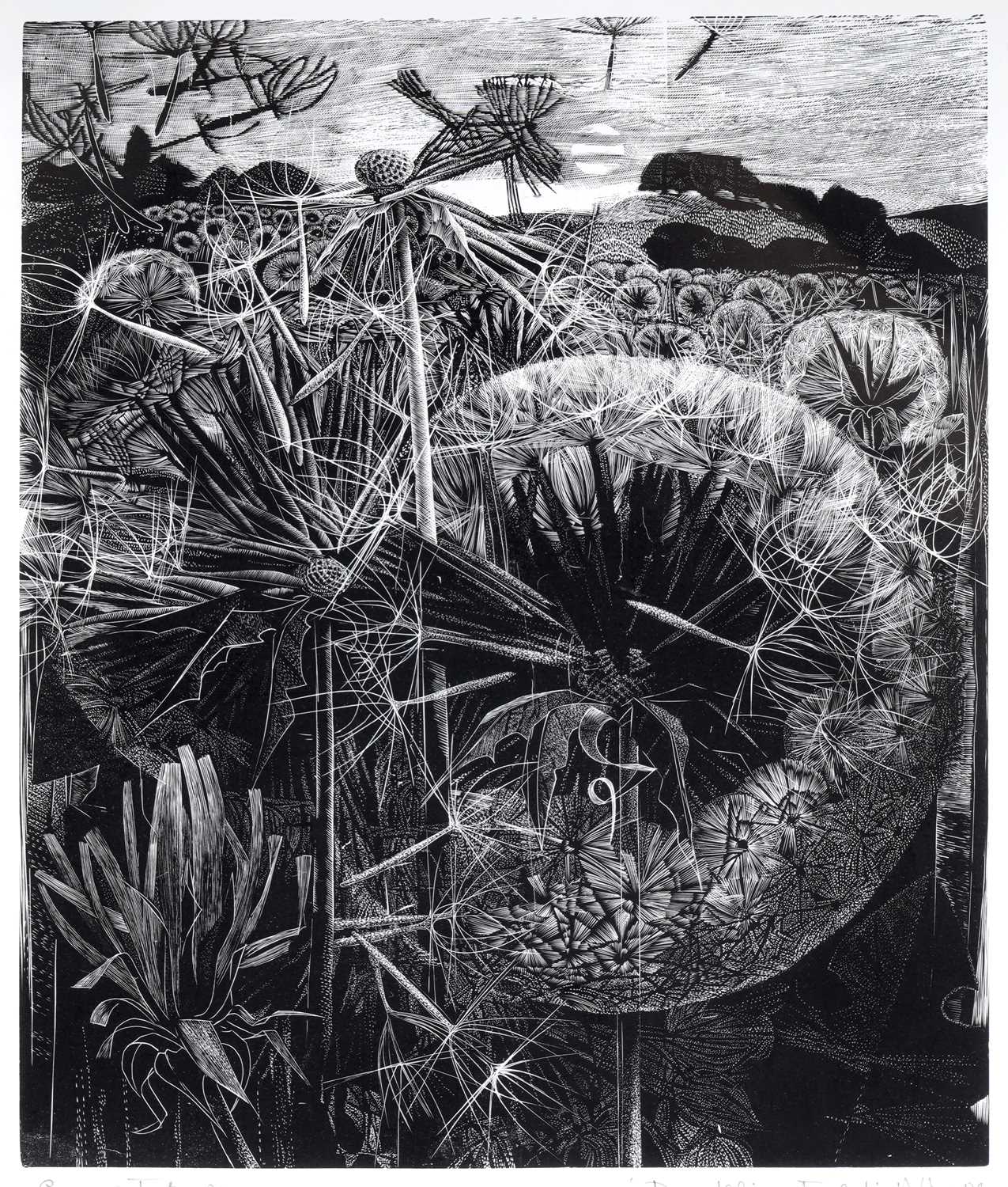 Lot 88 - George William Tute - Dandelion Field | wood engraving