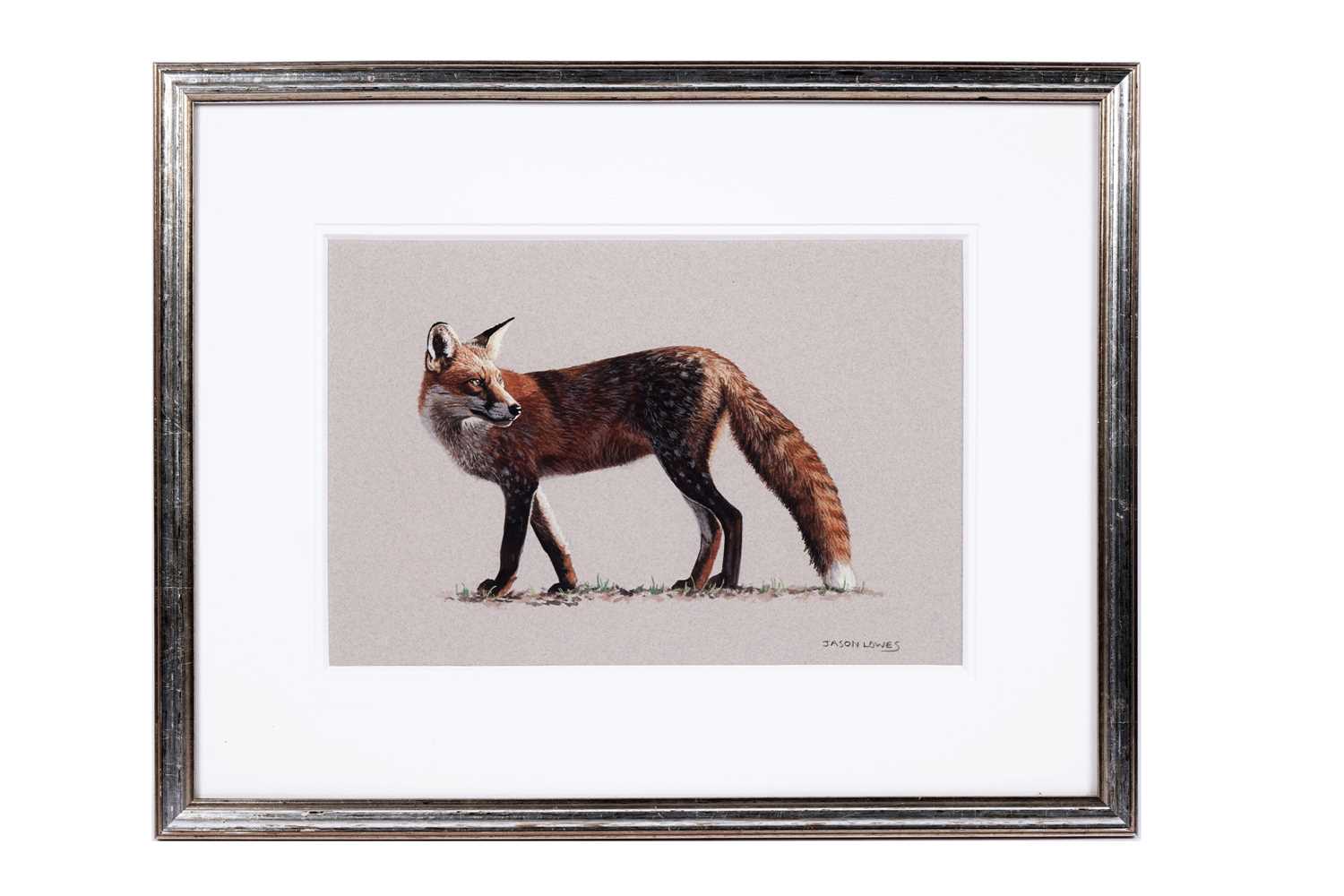 Lot 589 - Jason Lowes - Fox | watercolour