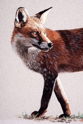Lot 589 - Jason Lowes - Fox | watercolour
