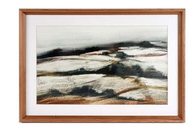 Lot 619 - Sarah Wilkinson - Fields of Snow | pastel
