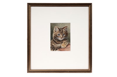 Lot 847 - Wilson Hepple - Tabby Cat | watercolour