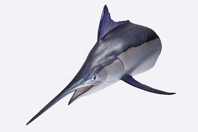 Lot 180 - A full-size fibreglass model of a marlins head