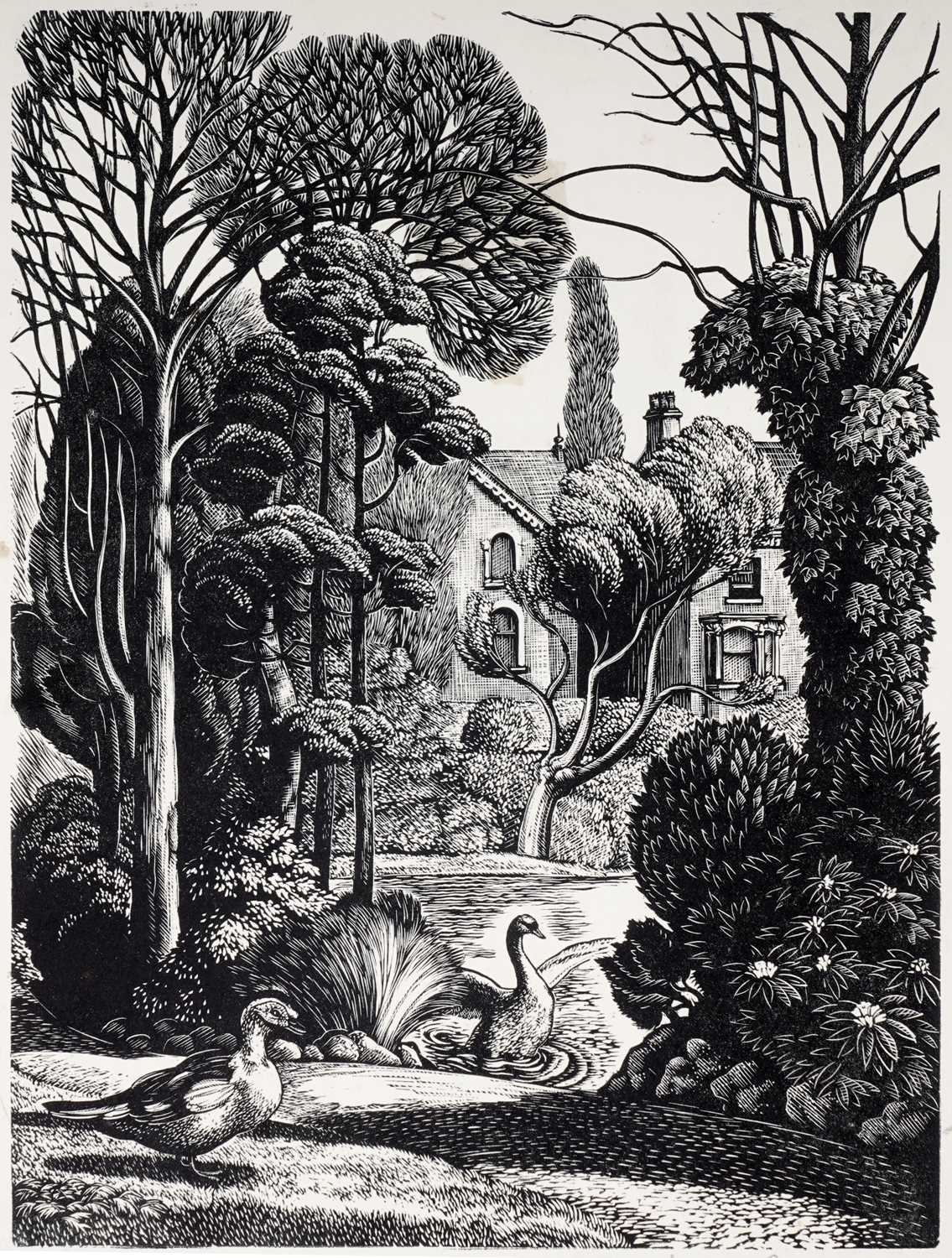 Lot 7 - Barbara Greg - Birds in Roper's Park | wood engraving