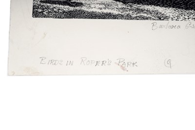 Lot 7 - Barbara Greg - Birds in Roper's Park | wood engraving