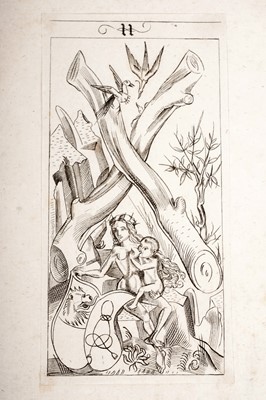 Lot 19 - Fourteen 'Trappola' or 'Tarot' cards