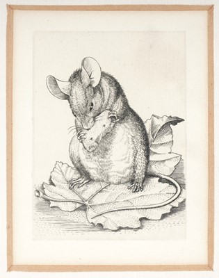 Lot 38 - Stephen Gooden - Three studies | etchings