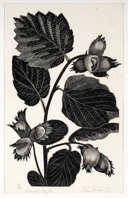 Lot 48 - John Farleigh - Hazel Nuts | wood engraving