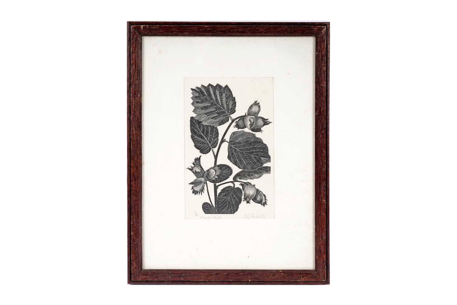 Lot 48 - John Farleigh - Hazel Nuts | wood engraving
