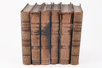 Lot 564 - Maxwell’s British Fresh-Water Fishes