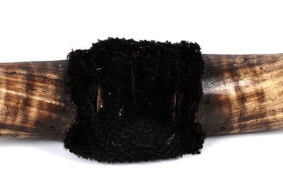 Lot 177 - A set of wall mounted highland cattle horns