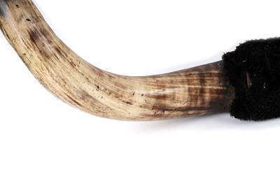 Lot 177 - A set of wall mounted highland cattle horns