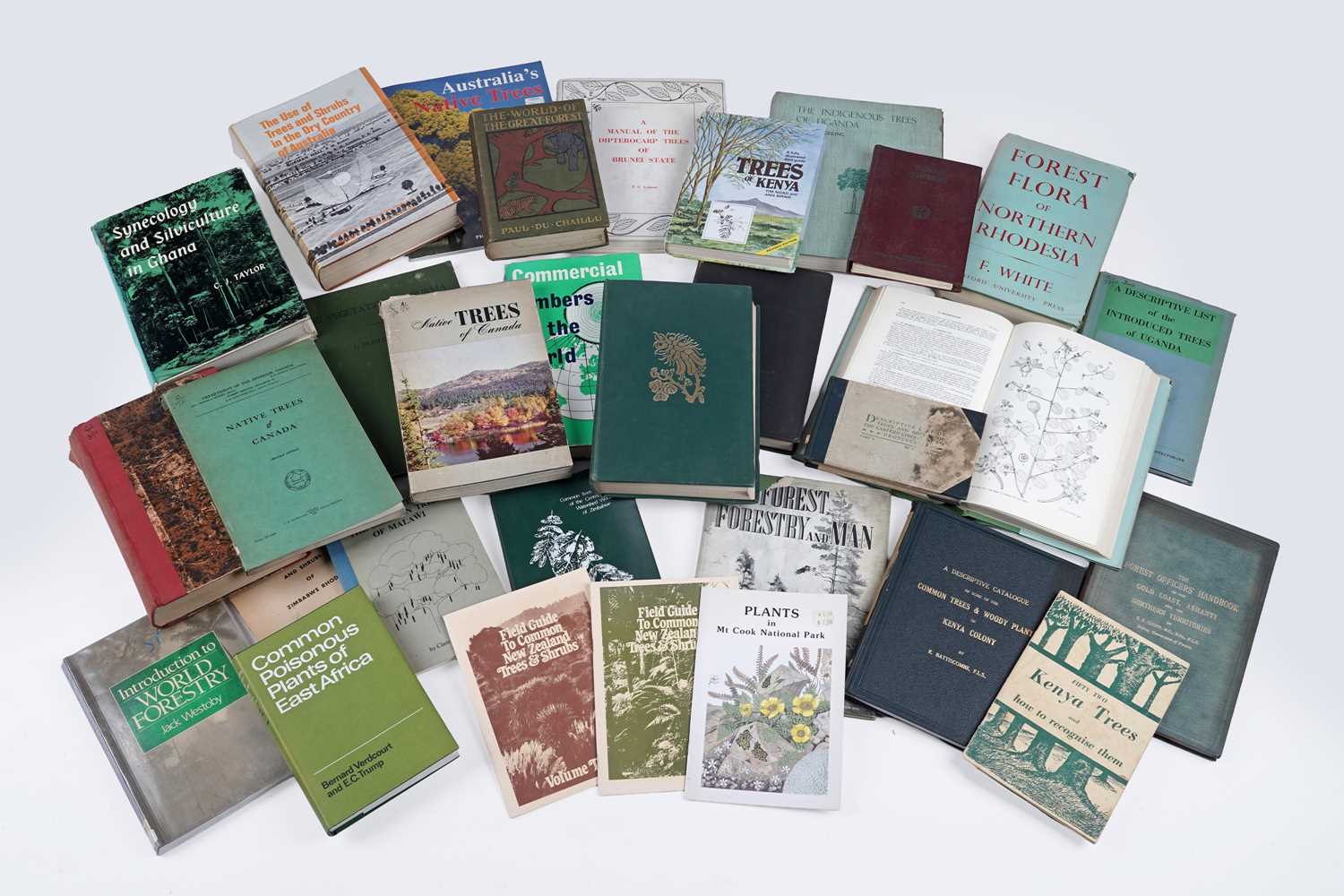 Lot 600 - A collection of books on world forestry