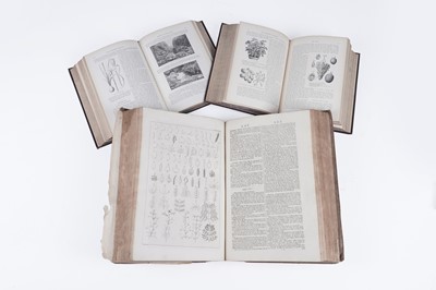 Lot 607 - A collection of books on gardening