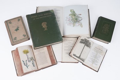 Lot 615 - A collection of books on trees and shrubs
