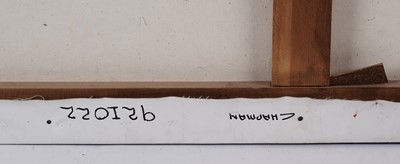 Lot 107 - Emily Kam Kngwarreye - Clay Pans | synthetic polymer paint