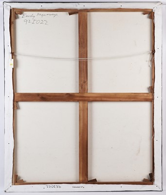 Lot 107 - Emily Kam Kngwarreye - Clay Pans | synthetic polymer paint