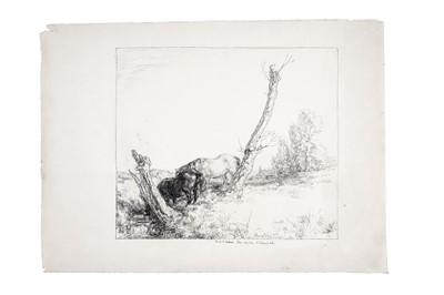 Lot 845 - Edmund Blampied - Two Horses in the Countryside | pen drawing
