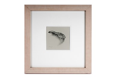 Lot 584 - Ian Greensitt - Hare | pencil drawing