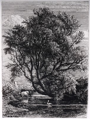 Lot 321 - Samuel Palmer - The Willow | etching