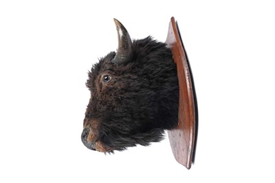 Lot 179 - A North American bison head
