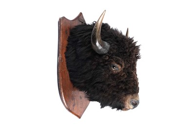 Lot 179 - A North American bison head
