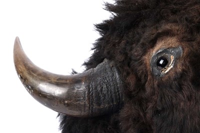 Lot 179 - A North American bison head