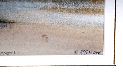 Lot 684 - Philip Snow - White Tailed Eagle, NW Hebrides | watercolour