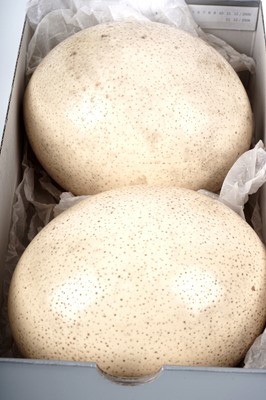 Lot 173 - Five various eggs