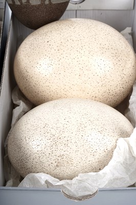 Lot 173 - Five various eggs