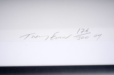 Lot 752 - Tracey Emin - Space Monkey | polymer gravure print