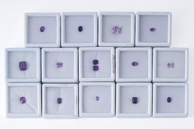 Lot 174 - A collection of fourteen quartz variety amethyst loose gemstones from various localities