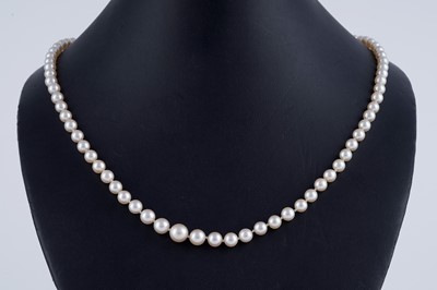 Lot 49 - An early 20th Century cultured pearl necklace