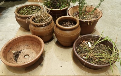 Lot 332 - A collection of six Errington Reay & Co salt glazed stoneware plant pots